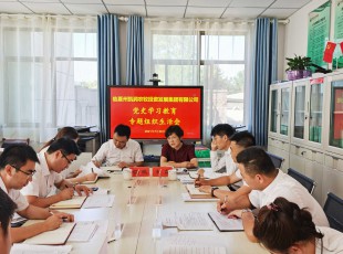 臨夏州凱潤農牧投資發展集團有限公司 召開黨史學習教育專題組織生活會