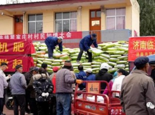 東西協作·真情幫扶 濟南市國資委、山東澳利集團公司（濟南澳利新型肥料有限公司）為臨夏州捐贈128噸有機肥料